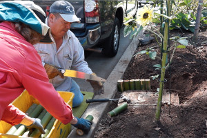 Small Garden, Big Jobs!