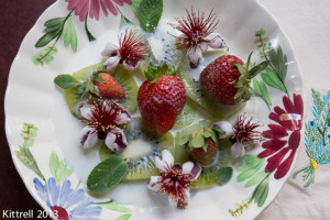 Kiwi, Strawberry and Pineapple Guava Blossom Salad Kiwi, Strawberry and Pineapple Guava Blossom Salad