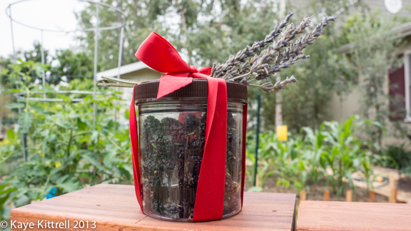 Grow Your Own Food, Organic Gardening Tips, Fruit Trees