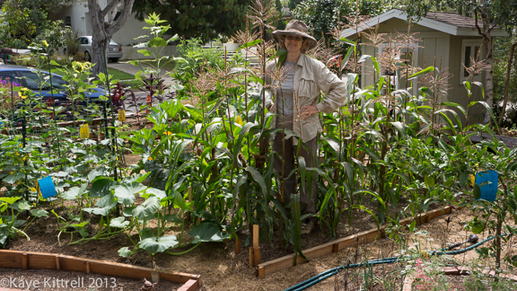 Late Bloomer Lesson #1, July