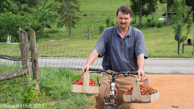 Mennonites living a meaningful life in Tennessee & the availability of fresh produce & dairy