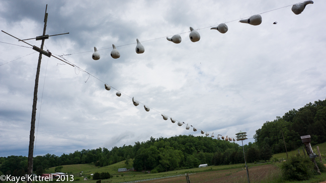 Mennonites living a meaningful life in Tennessee & the availability of fresh produce & dairy
