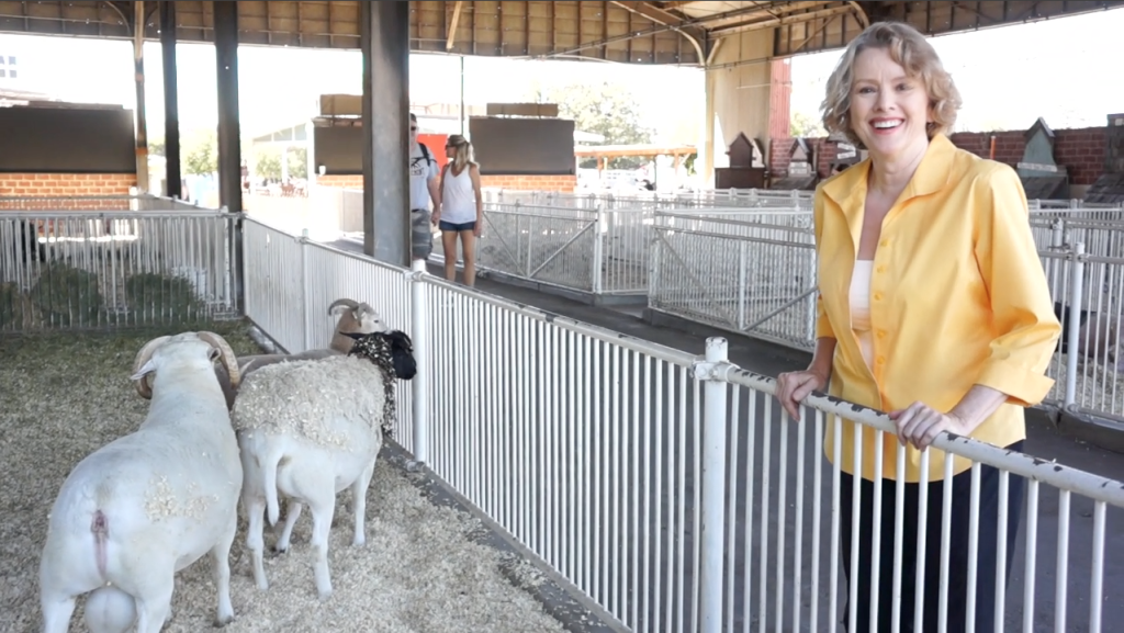 Kaye with Sheep, L.A. County Fair Late Bloomer-L.A. County Fair Fairview Farms-sheep