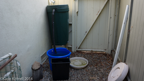 After the rain-rain barrel