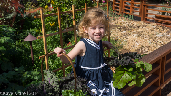 Lily Grace Winter Garden Update-Lily