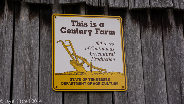 kk_lb-mary-land-8.jpg Living Sustainably in Tennessee
