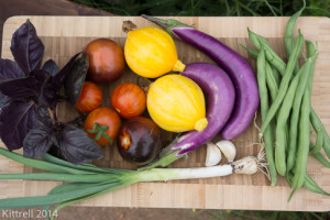 My Easy Ratatouille! My Easy Ratatouille!