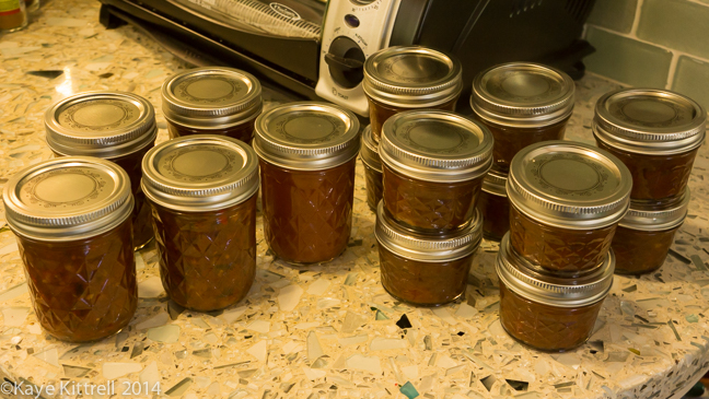 My Tomato Cooking, or How I Got Around the Canning Thing-chutney&jam