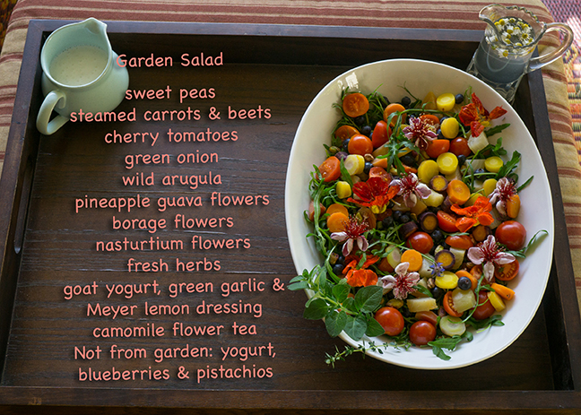Extreme Garden Makeover Day 1 - salad recipe