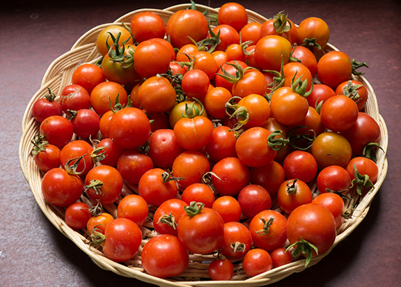 Extreme Garden Makeover Day 1 - tomatoes