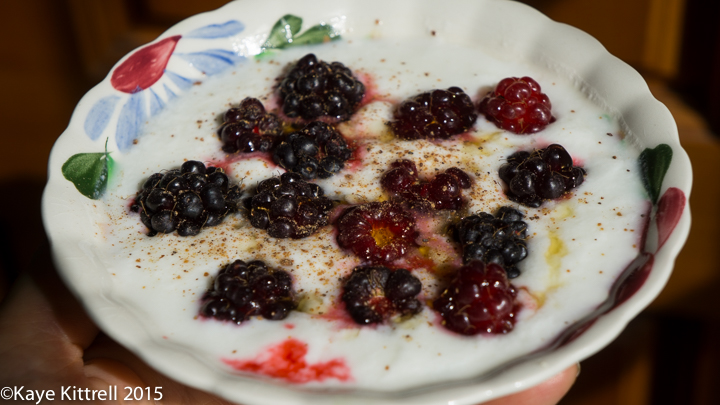 Boysenberry, so Precious so Rare! - bowl of yogurt & boysenberries