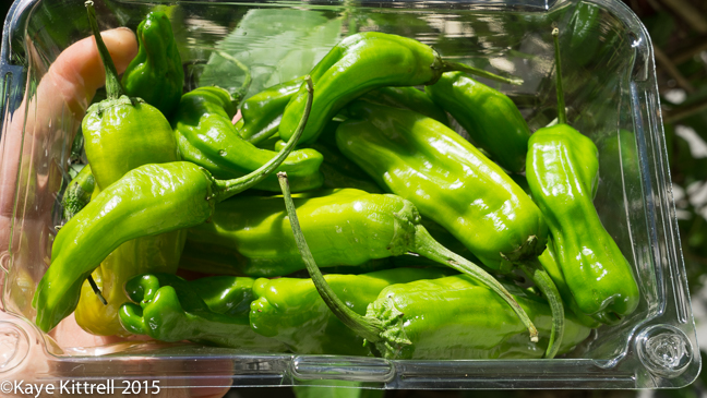 Two 20-minute Farm Box Recipes - shishito peppers
