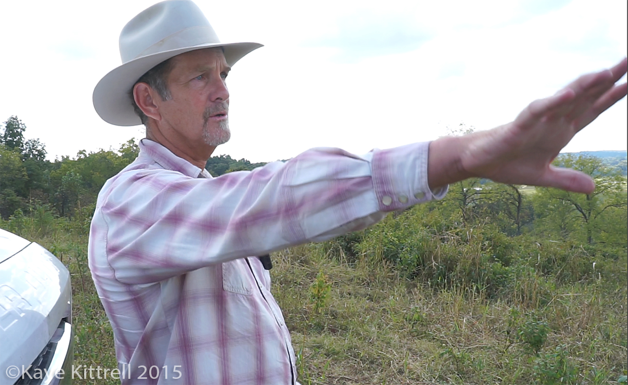 Files from the Road: Farm to Table in Pinewood - Lee McCormick