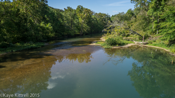 Files from the Road: Growing Loofah - Big Swan Creek