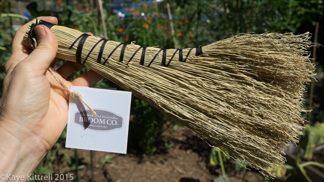 Grow Broomcorn for Making Brooms & Fall Decor