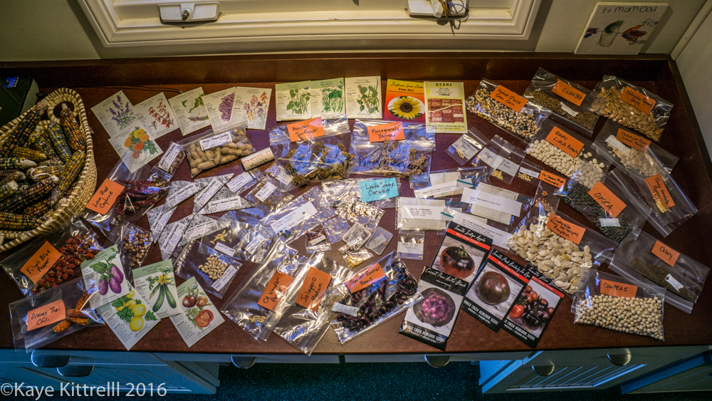 Sharing Seeds: Helps You, Helps Me! - seeds to plant