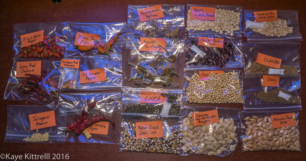 Sharing Seeds, Helps You, Helps Me! - Kaye's seeds