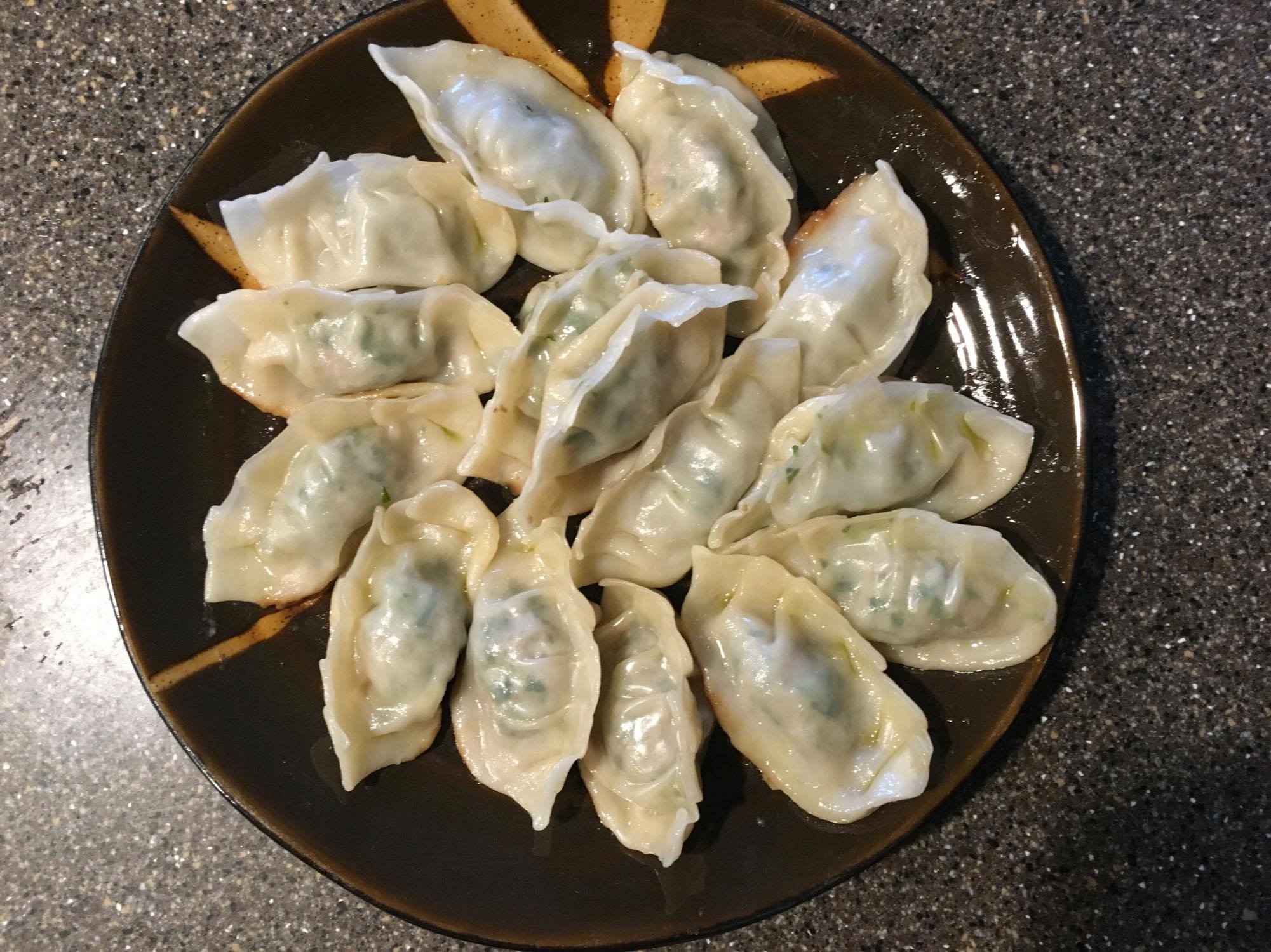 Phoenix Sizzled and I Vlogged! Dumpling Recipe!