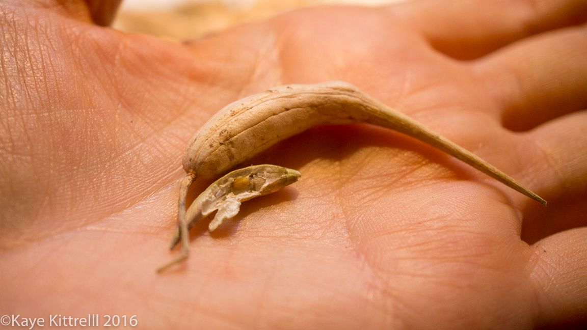 It takes as long as it takes - two pods