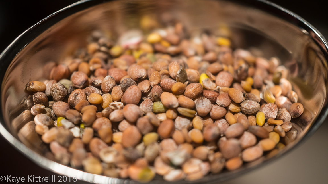 It takes as long as it takes - tablespoon of seed