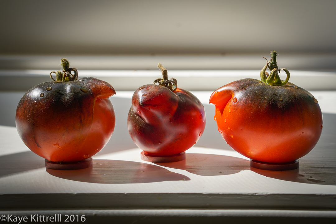 Ugly is Beautiful (Tomatoes) - Henpecked