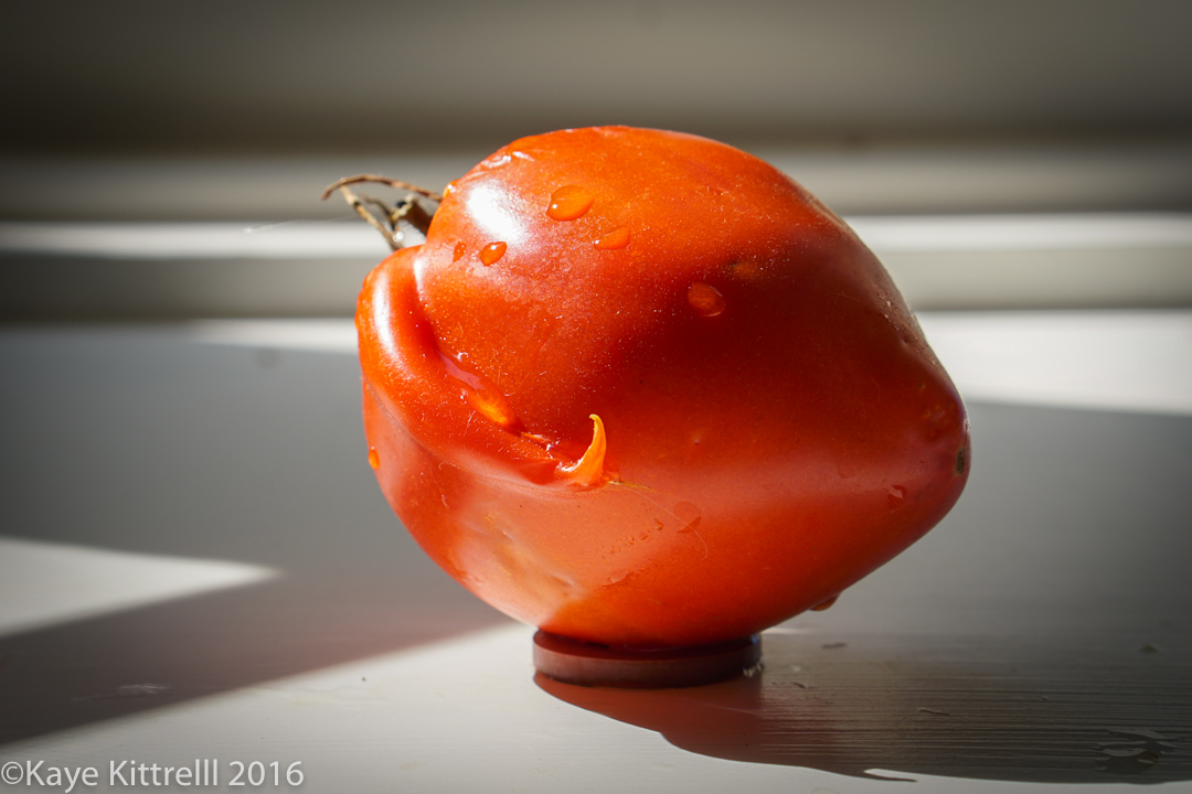 Ugly is Beautiful (Tomatoes) - Taking Flight