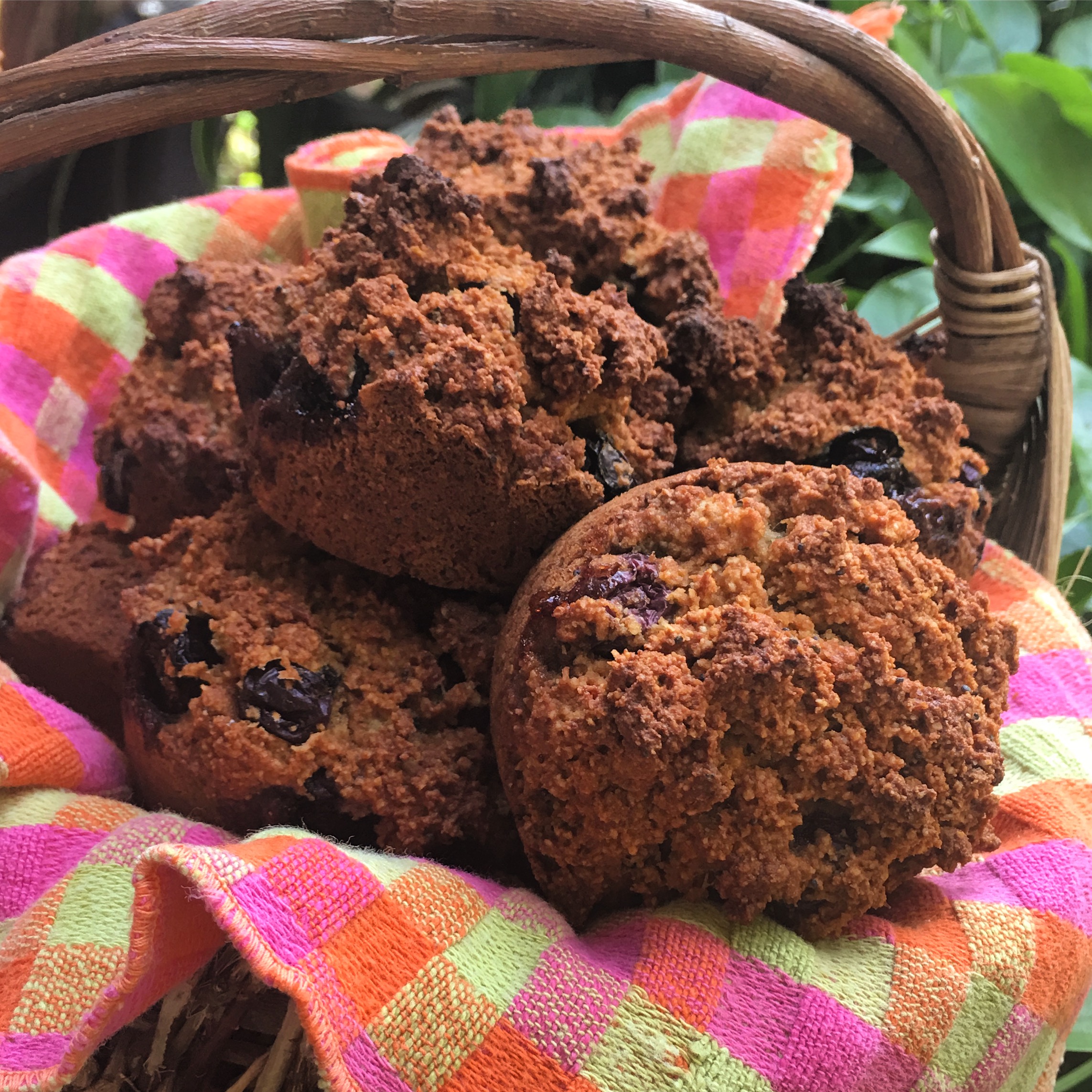 Paleo Poppyseed Blueberry Banana Muffins