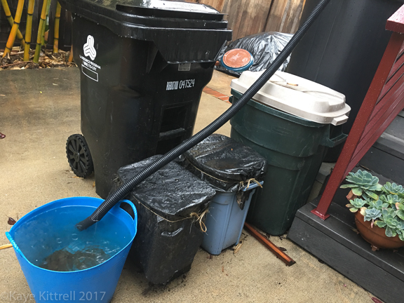Enough Rain Already! (Did I Just Say That?) - rain capture vessels