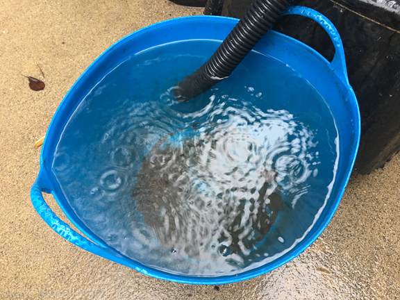 Enough Rain Already! (Did I Just Say That?) - rain in bucket
