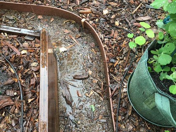 Enough Rain Already! (Did I Just Say That?) - puddle