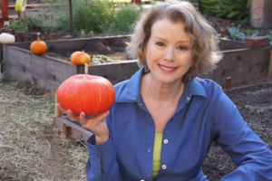 Listen to My Podcast with Urban Farm! Listen to My Podcast with Urban Farm!