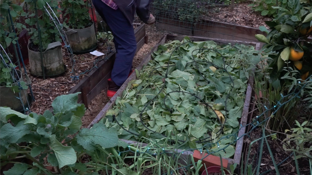 Raised Bed Reboot Rebooted!