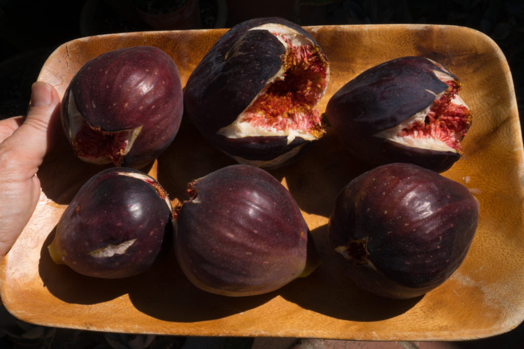 Best fig jam recipe - big figs