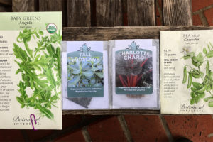 There’s Something About Planting Seeds There’s Something About Planting Seeds