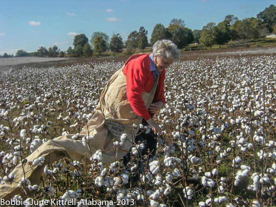 Yesterday was Opposite Day - mother-cotton