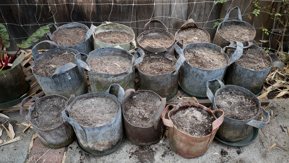 Urban Garden Improvisation - minerals worked in