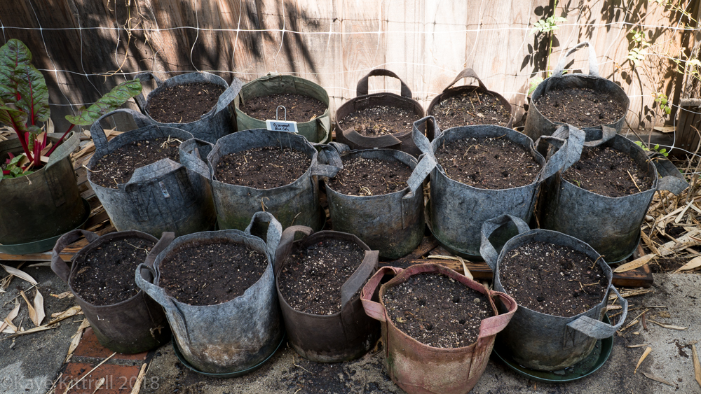 Urban Garden Improvisation - holes for seed