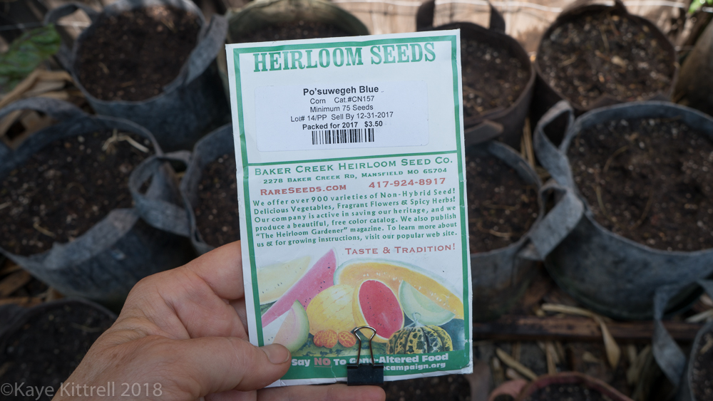 Urban Garden Improvisation - seed pack