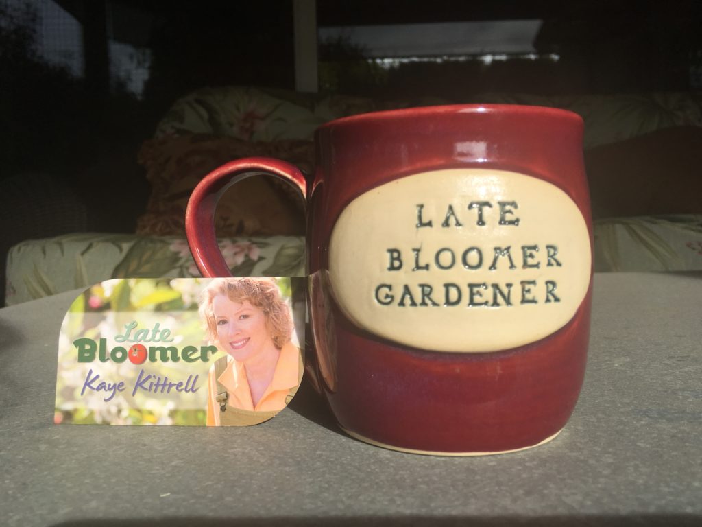 Small Batch Tomato Canning - mug