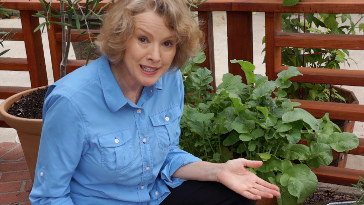 Late Bloomer-Summer Garden Update Part 3-Kaye