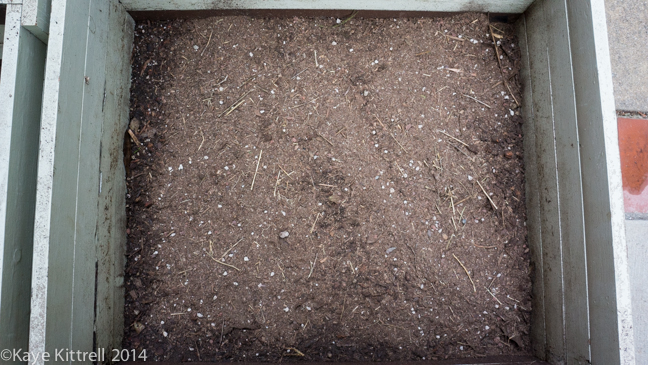 Finding Solutions for Pests-bin