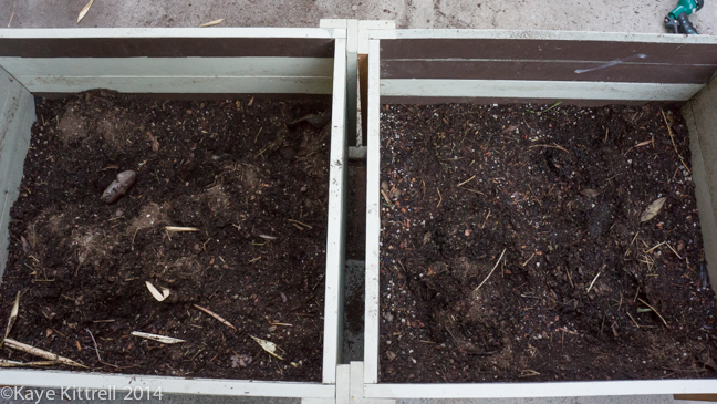 Finding solutions for Pests-disrupted bins