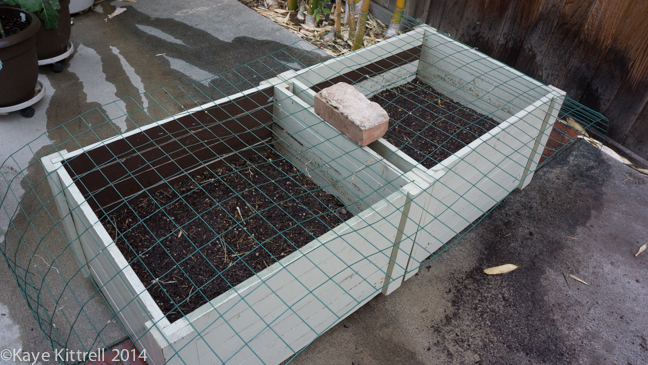 Finding Solutions for Pests-wire