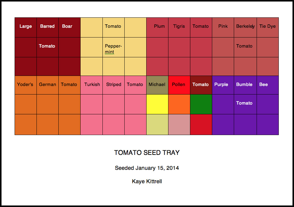 Kaye's Tomato Seed Tray Going Gaga over Tomatoes