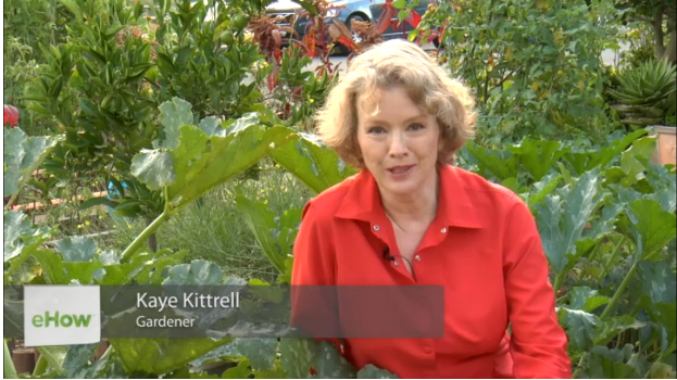 Kaye Kittrell gardener on eHow Late Bloomer is TWO today-ehow