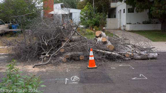 Make it a Learning Experience-tree in a heap