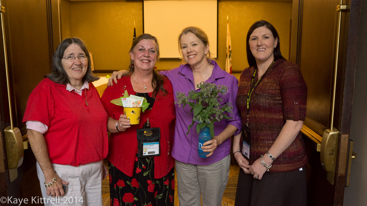 We need all the bees we can get - Ila, Sandy, Kaye & Amanda