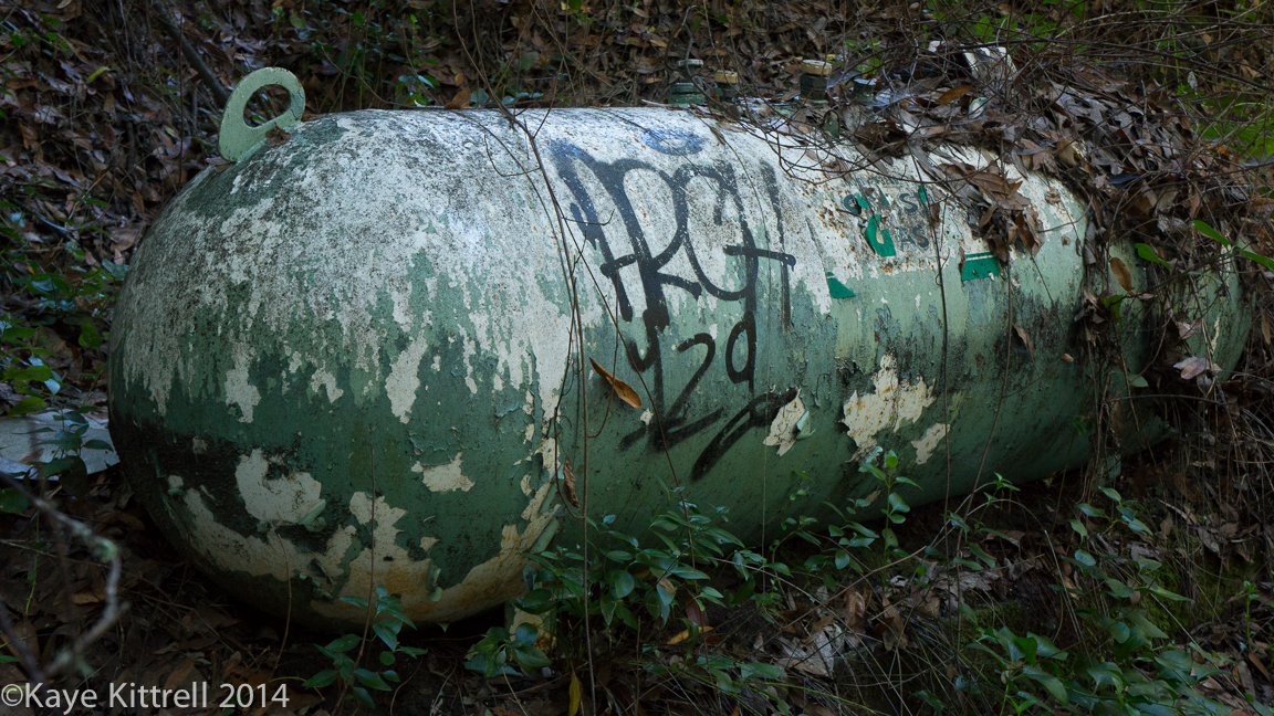 Nature Walk-Name that fungi!-propane tank