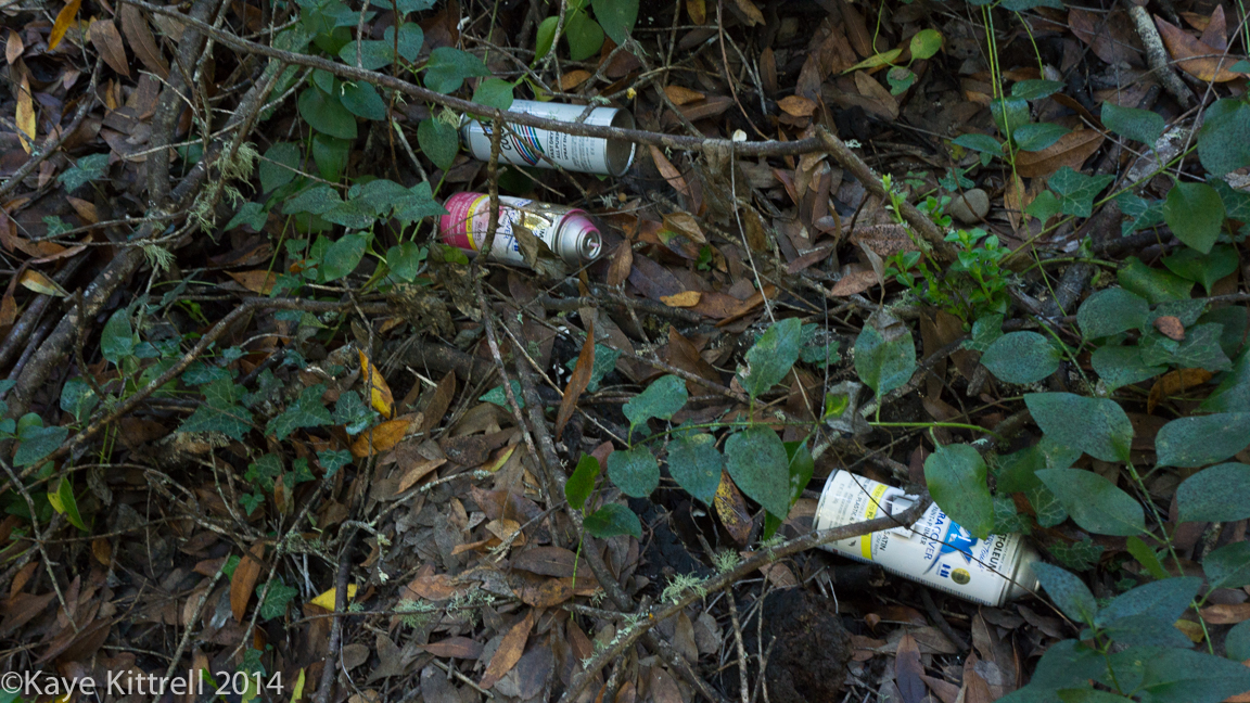 Nature Walk - Name that fungi!-spray cans