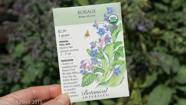 Grow Borage to Attract Bees - Late Bloomer - #62